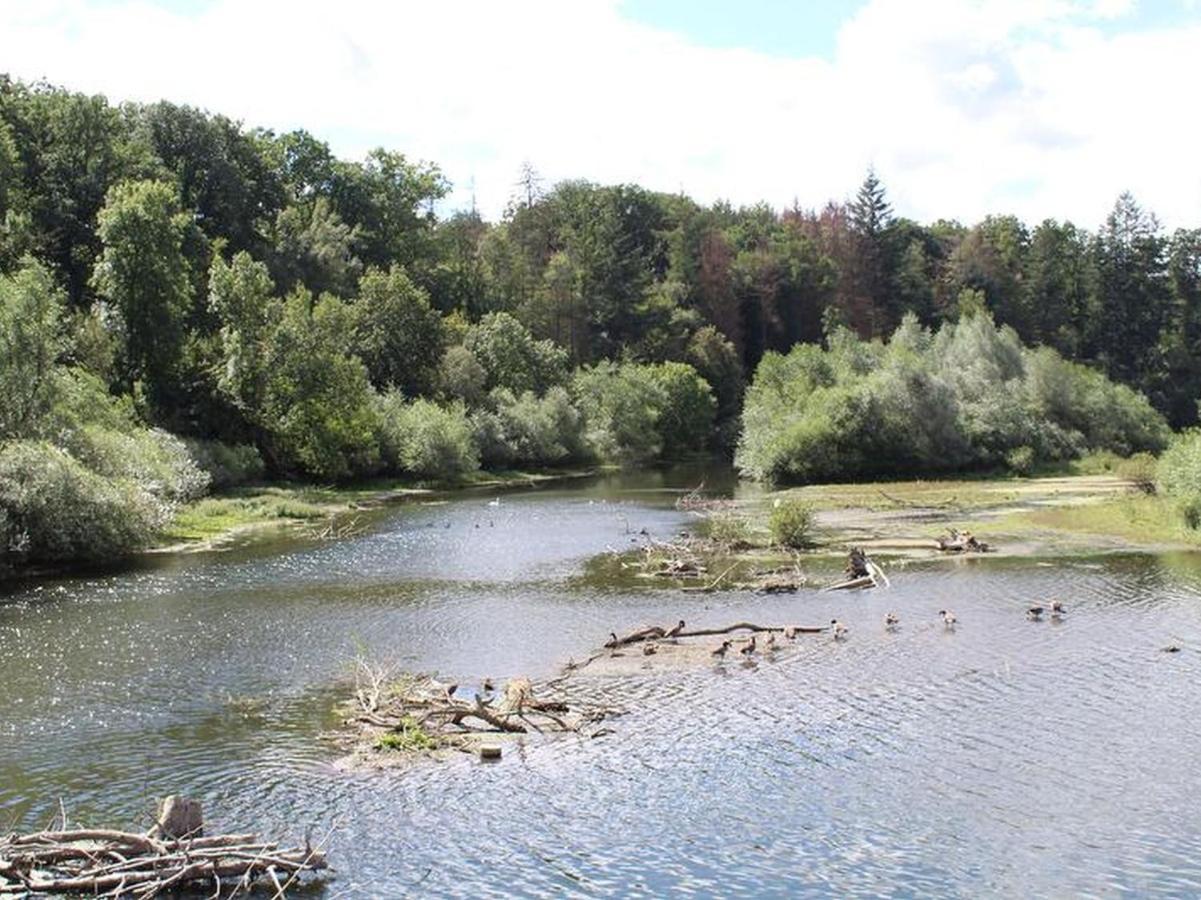 Ferienwohnungen Am Seeufer Möhnesee Exterior foto